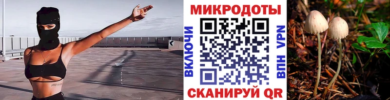 закладки Хотьково Псилоцибиновые грибы мухоморы